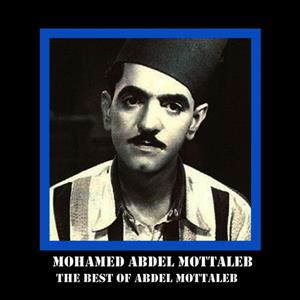 Mohamed Abdel Mottelib